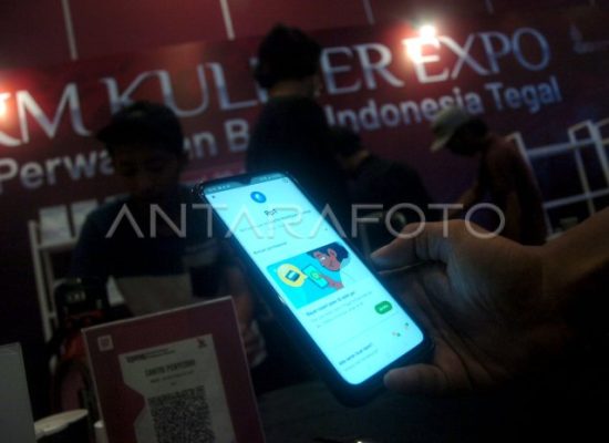 Ancaman Serangan Siber ke Platform Keuangan Digital Diwanti-Wanti LPS