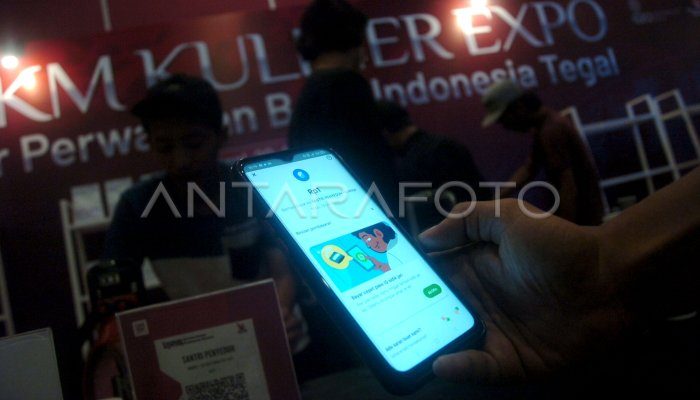 Ancaman Serangan Siber ke Platform Keuangan Digital Diwanti-Wanti LPS