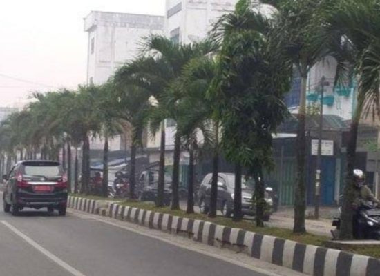 Jangan Bermimpi Asahan Diindustrialisasi