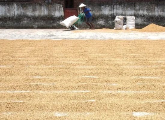 HET Beras Diperkirakan Tak akan Mengubah Harga Pasar di Sumut