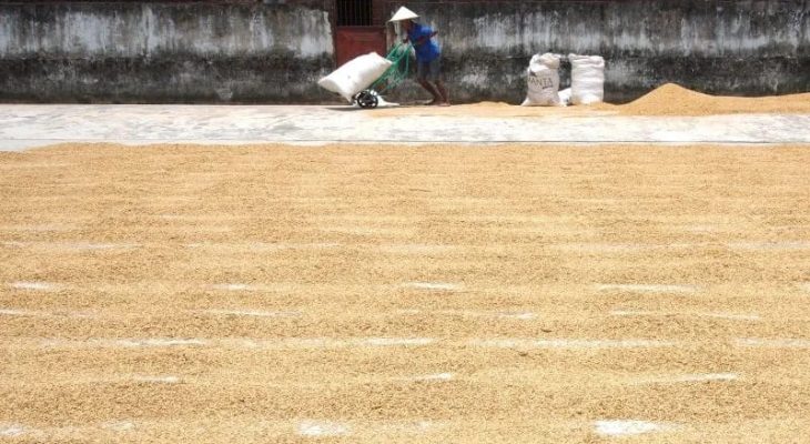 HET Beras Diperkirakan Tak akan Mengubah Harga Pasar di Sumut