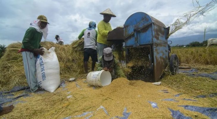 Penaikan HPP Gabah Dinilai Belum Dirasakan Petani Padi