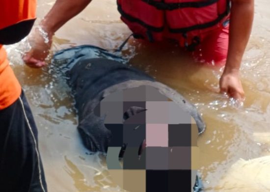 Perahu Bocor, Rama Ditemukan Tewas Tenggelam di Sungai Bilah