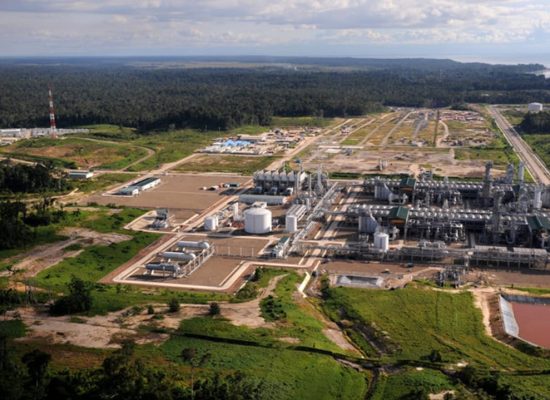 Disinyalir Rusak Ekosistem Mangrove, KNPI Sorot Proyek LNG Tangguh di Teluk Bintuni