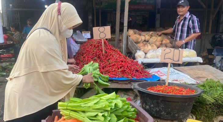 Harga Cabai di Sumut Anjlok, Kerugian Petani Diestimasi Capai Rp3,8 Triliun