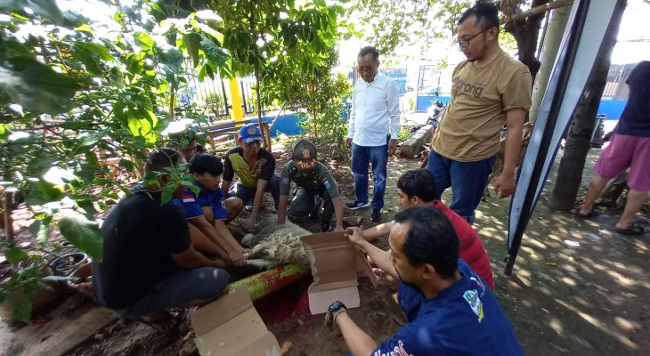 Pokja Jurnalis Jakarta Utara Bagikan 250 Paket Kurban ke Warga Ancol