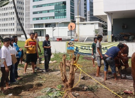 DPP KNPI Sembelih Tujuh Hewan Kurban di Lebaran Haji 2023