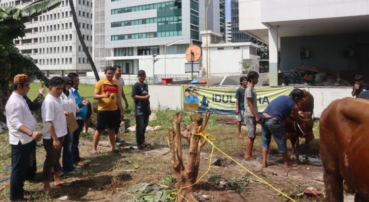 DPP KNPI Sembelih Tujuh Hewan Kurban di Lebaran Haji 2023