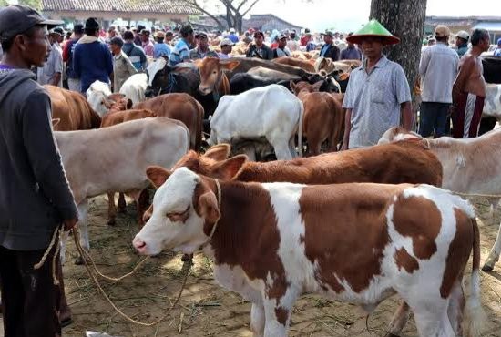 Antisipasi Penularan Antraks, Purwakarta Tutup Empat Pasar Hewan