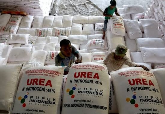 Penumpukan Pupuk Bersubsidi di Sergai Bisa Picu Kenaikan Harga Pangan