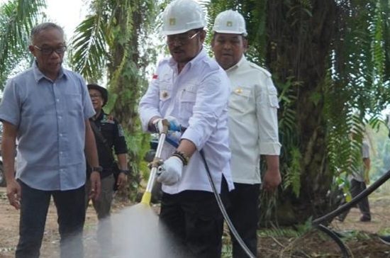 Hadapi El Nino, SYL Dukung Tiga Terobosan Baru Perkebunan Sawit di Sumut