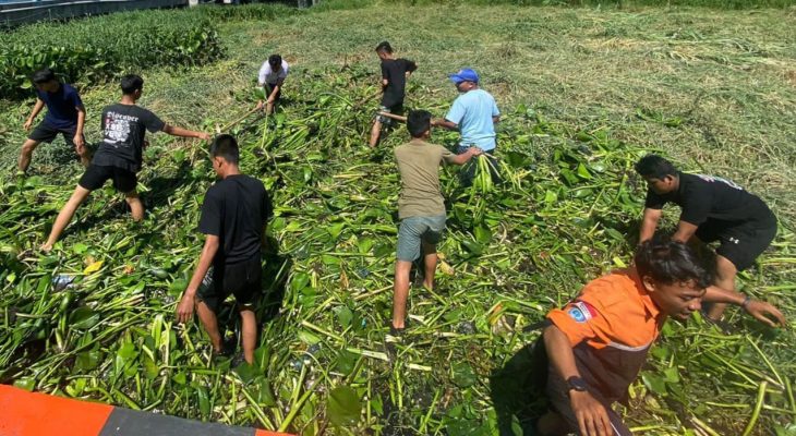 Ramai-Ramai Bersihkan Danau Toba di Suasana Perayaan Hari Kemerdekaan