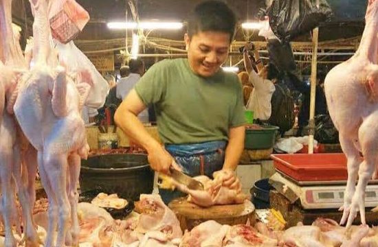 Harga Cabai dan Daging Ayam Diprediksi Kembali Naik di Akhir Agustus