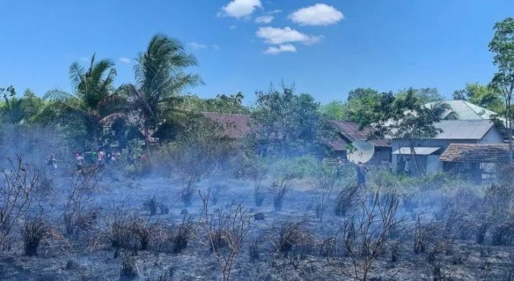 Seorang Petani Tewas dalam Kebakaran Hutan dan Lahan di Kabupaten Tapin