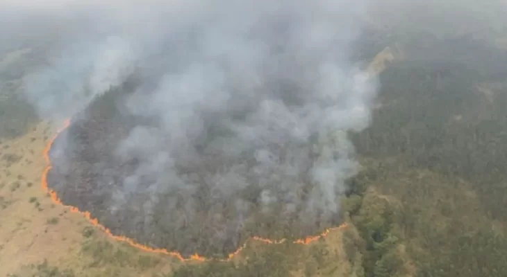 Kondisi Genting, Jatim Curahkan Air dari Udara