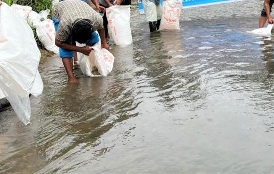 Belasan Ribu Benih Ditebar, Penangkapan Ikan Dikenakan Denda Rp3 Juta