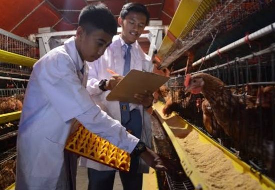 Langkat Miliki SMK Peternakan Seluas 26 Kali Kawasan GBK