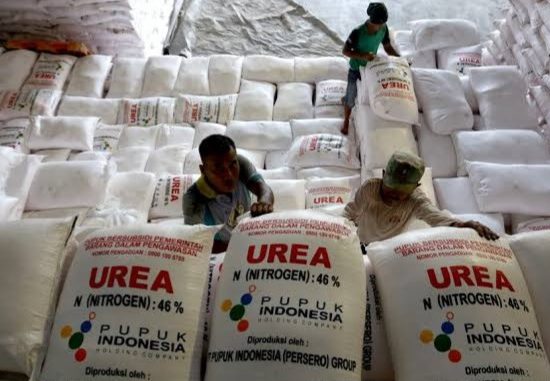 Sumut Minta Pupuk Indonesia Tepat Sasaran Salurkan Pupuk Subsidi